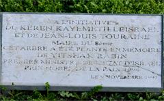 Cliquez sur la vignette pour l'agrandir